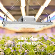 Supplémentaire Grow Light Deep Red de haute qualité